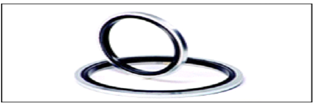 Bonded Seals /Dowty Seals