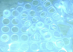 Silicon Scraps