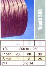 Exp Flexible Graphite with inconnel