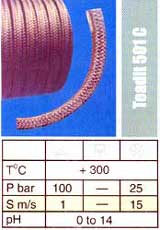 Expanded gPTEE with Solid Core